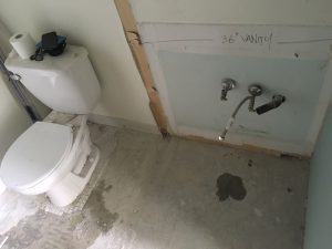 Skirted Toilets